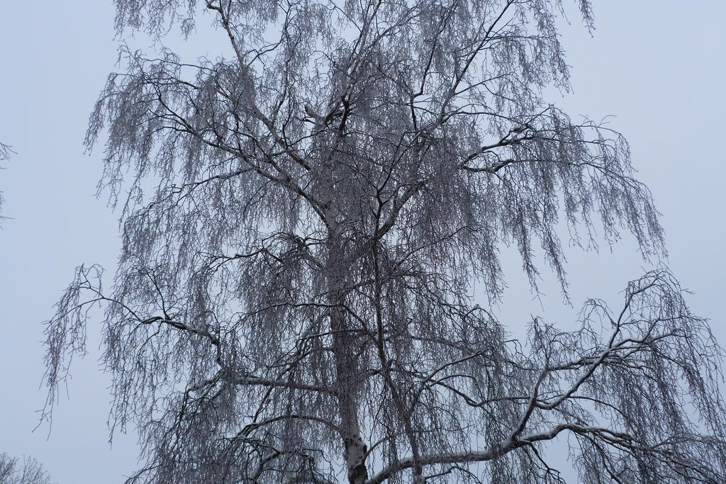 Ferienwohnung Bundkirchen วินเทอร์แบร์ก ห้อง รูปภาพ